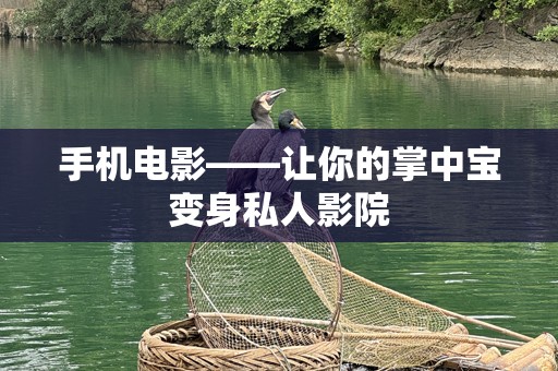 手机电影——让你的掌中宝变身私人影院