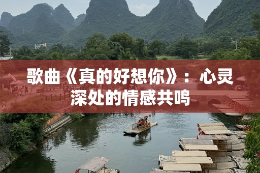 歌曲《真的好想你》：心灵深处的情感共鸣