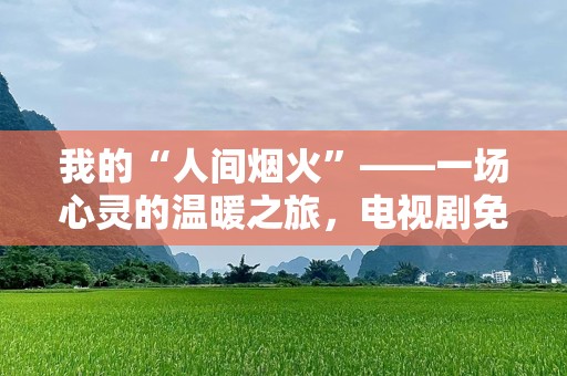 我的“人间烟火”——一场心灵的温暖之旅，电视剧免费观看！