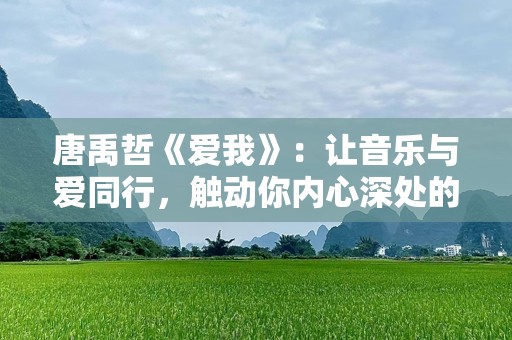 唐禹哲《爱我》：让音乐与爱同行，触动你内心深处的旋律