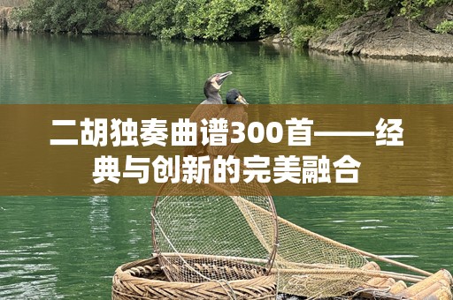 二胡独奏曲谱300首——经典与创新的完美融合