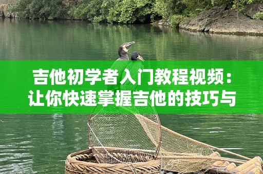 吉他初学者入门教程视频：让你快速掌握吉他的技巧与乐趣