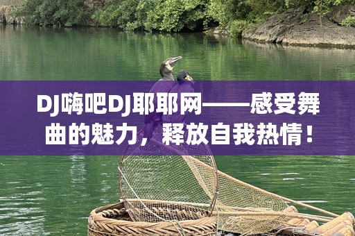 DJ嗨吧DJ耶耶网——感受舞曲的魅力，释放自我热情！