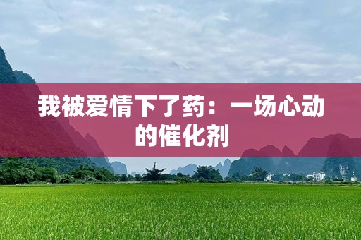 我被爱情下了药：一场心动的催化剂