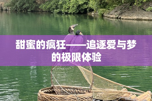 甜蜜的疯狂——追逐爱与梦的极限体验