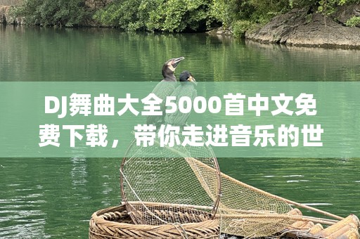 DJ舞曲大全5000首中文免费下载，带你走进音乐的世界