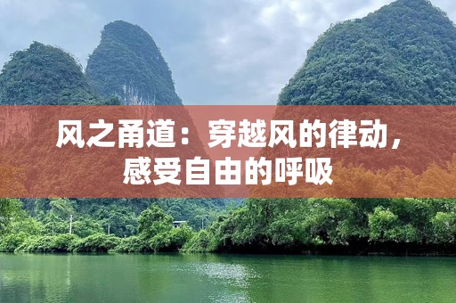 风之甬道：穿越风的律动，感受自由的呼吸