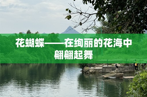 花蝴蝶——在绚丽的花海中翩翩起舞