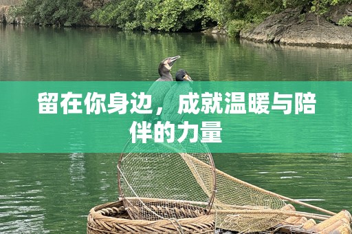 留在你身边，成就温暖与陪伴的力量