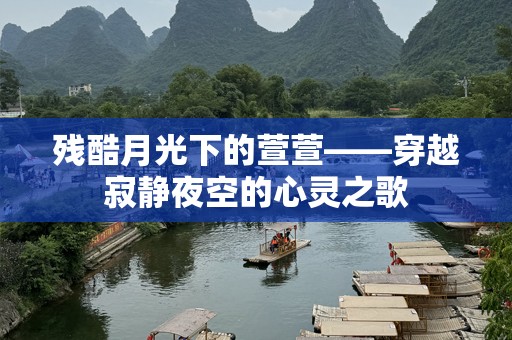 残酷月光下的萱萱——穿越寂静夜空的心灵之歌
