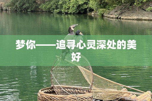 梦你——追寻心灵深处的美好