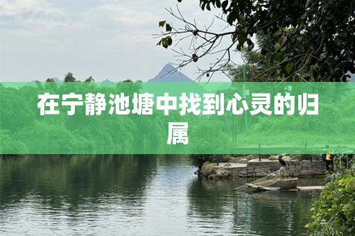 在宁静池塘中找到心灵的归属