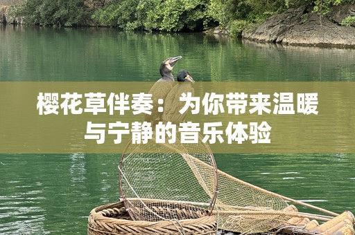 樱花草伴奏：为你带来温暖与宁静的音乐体验