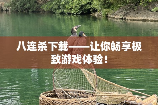 八连杀下载——让你畅享极致游戏体验！