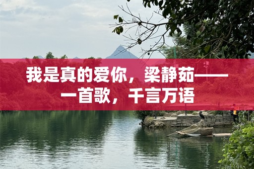 我是真的爱你，梁静茹——一首歌，千言万语
