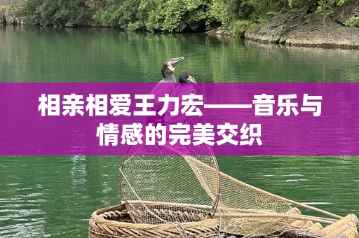 相亲相爱王力宏——音乐与情感的完美交织