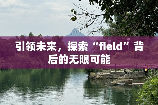 引领未来，探索“field”背后的无限可能