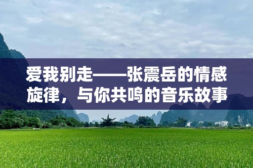 爱我别走——张震岳的情感旋律，与你共鸣的音乐故事