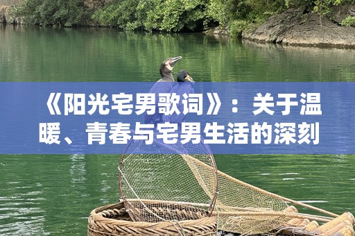 《阳光宅男歌词》：关于温暖、青春与宅男生活的深刻探讨