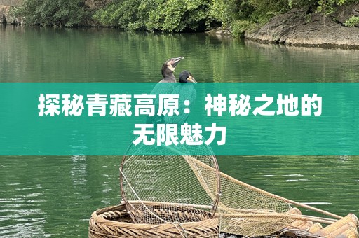 探秘青藏高原：神秘之地的无限魅力