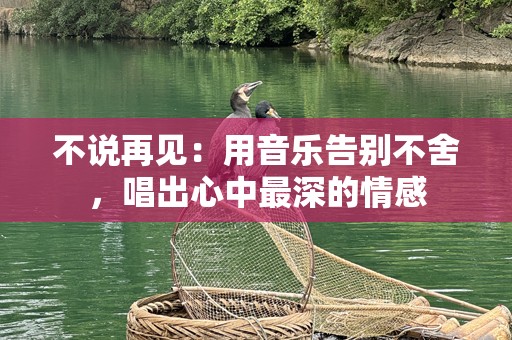 不说再见：用音乐告别不舍，唱出心中最深的情感