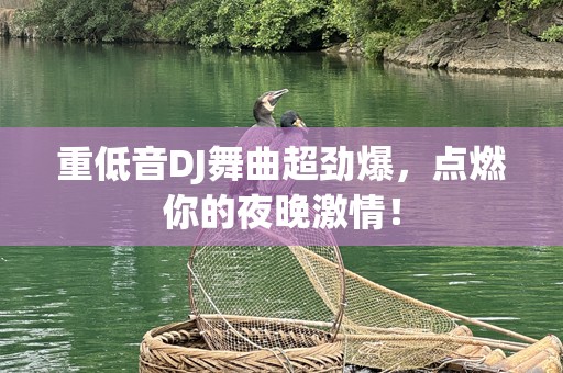 重低音DJ舞曲超劲爆，点燃你的夜晚***！
