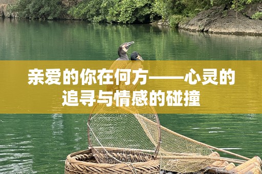 亲爱的你在何方——心灵的追寻与情感的碰撞
