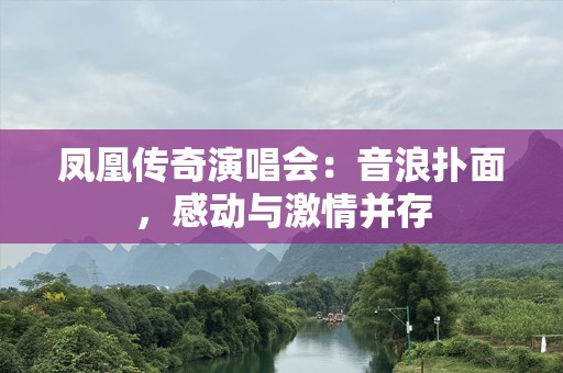 凤凰传奇演唱会：音浪扑面，感动与***并存