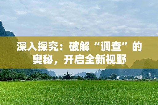 深入探究：破解“调查”的奥秘，开启全新视野
