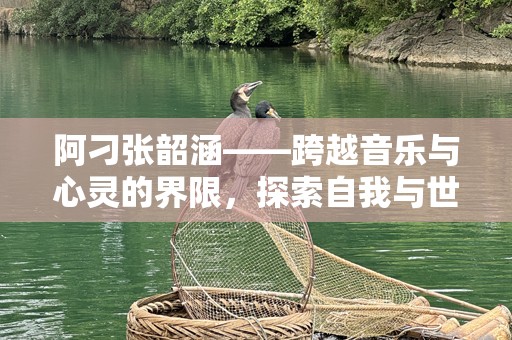 阿刁张韶涵——跨越音乐与心灵的界限，探索自我与世界的共鸣