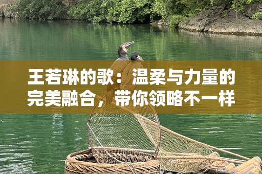 王若琳的歌：温柔与力量的完美融合，带你领略不一样的音乐世界