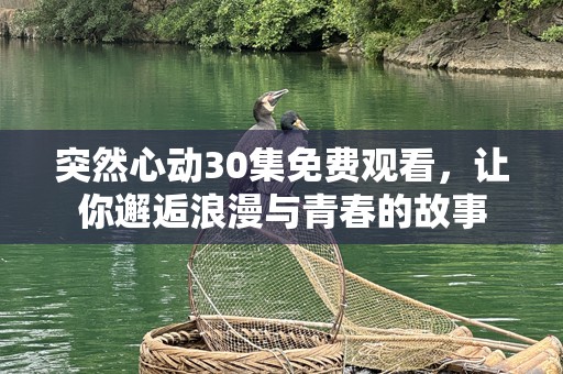 突然心动30集免费观看，让你邂逅浪漫与青春的故事