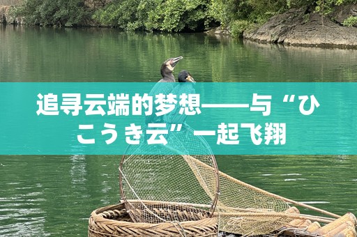 追寻云端的梦想——与“ひこうき云”一起飞翔