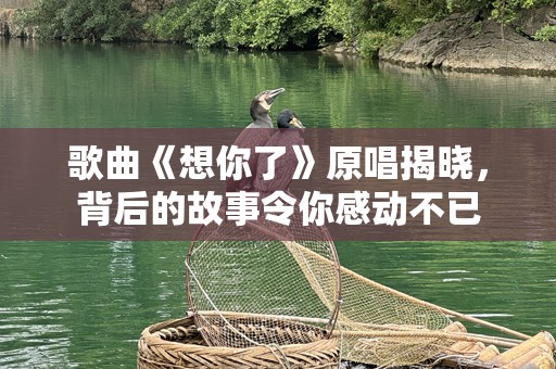 歌曲《想你了》原唱揭晓，背后的故事令你感动不已