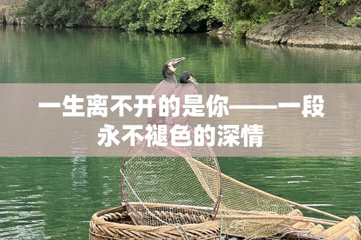 一生离不开的是你——一段永不褪色的深情