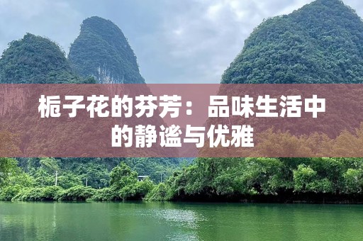 栀子花的芬芳：品味生活中的静谧与优雅