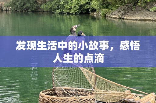 发现生活中的小故事，感悟人生的点滴