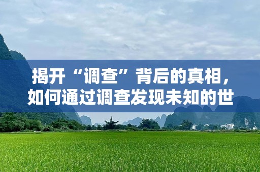 揭开“调查”背后的真相，如何通过调查发现未知的世界