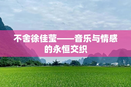 不舍徐佳莹——音乐与情感的永恒交织