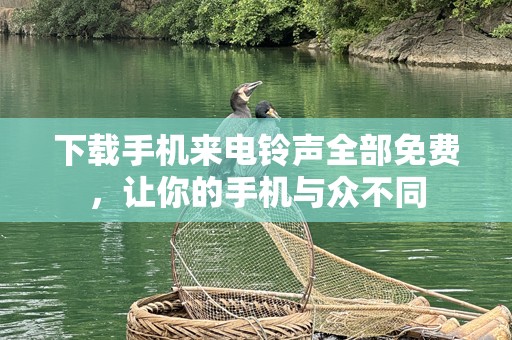 下载手机来电铃声全部免费，让你的手机与众不同