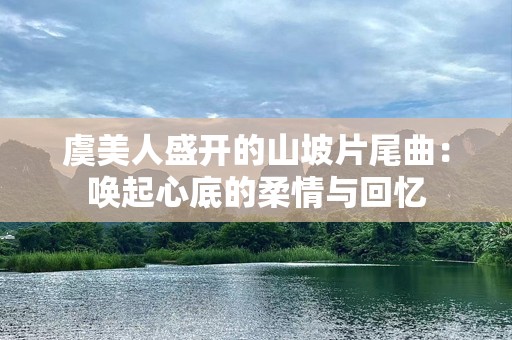 虞美人盛开的山坡片尾曲：唤起心底的柔情与回忆