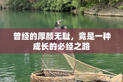 曾经的厚颜无耻，竟是一种成长的必经之路