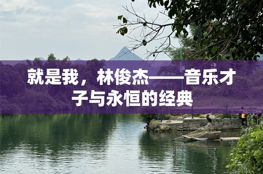 就是我，林俊杰——音乐才子与永恒的经典