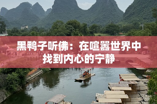 黑鸭子听佛：在喧嚣世界中找到内心的宁静