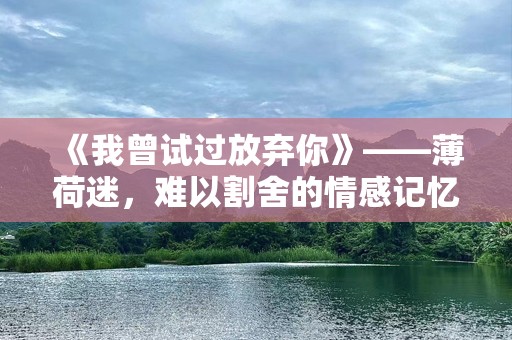 《我曾试过放弃你》——薄荷迷，难以割舍的情感记忆