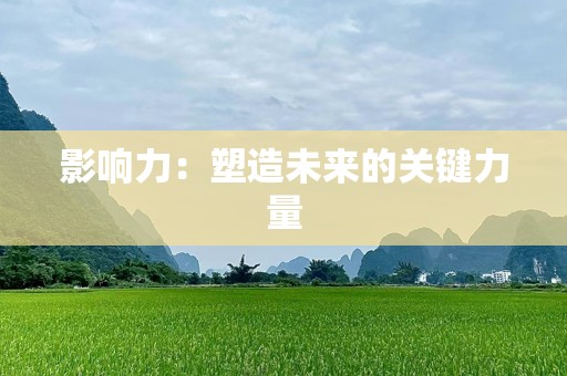 影响力：塑造未来的关键力量