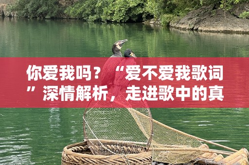 你爱我吗？“爱不爱我歌词”深情解析，走进歌中的真挚情感