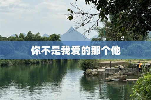 你不是我爱的那个他