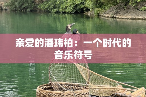 亲爱的潘玮柏：一个时代的音乐符号
