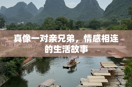 真像一对亲兄弟，情感相连的生活故事